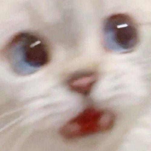 เมลโล่พุริน