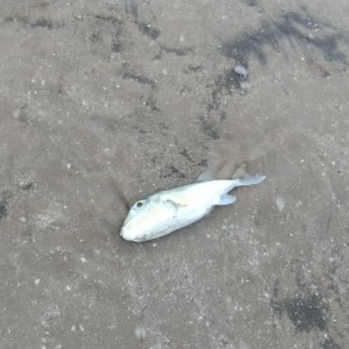 สมาชิกหมายเลข 5761913