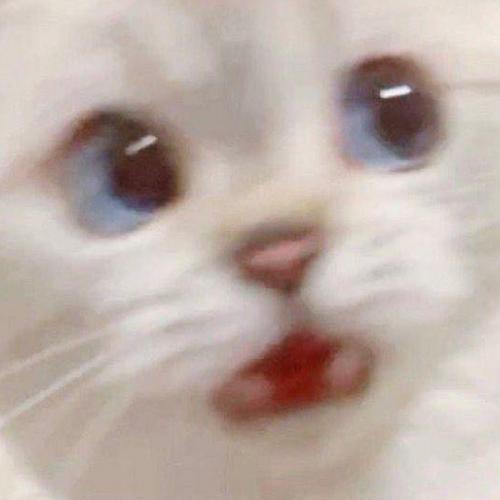 สมาชิกหมายเลข 7165531