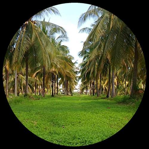 สมาชิกหมายเลข 7971256