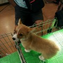 สมาชิกหมายเลข 3731811