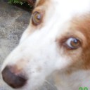 สมาชิกหมายเลข 1476192