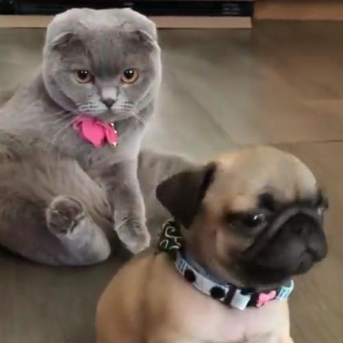 สมาชิกหมายเลข 3354455