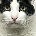 สมาชิกหมายเลข 4623019