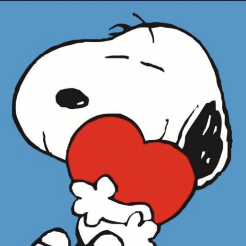 สมาชิกหมายเลข 4979996