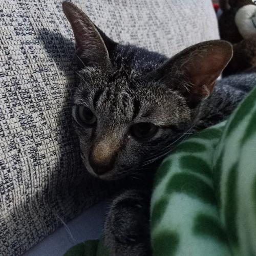 สมาชิกหมายเลข 2588493