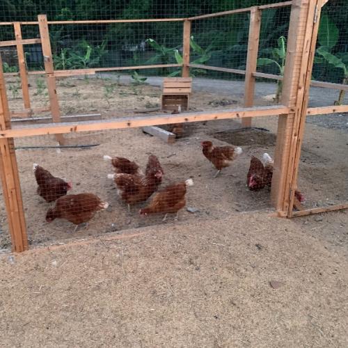 สมาชิกหมายเลข 2310804