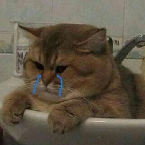 สมาชิกหมายเลข 5795185