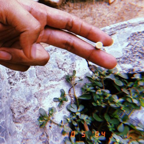 สมาชิกหมายเลข 1624407