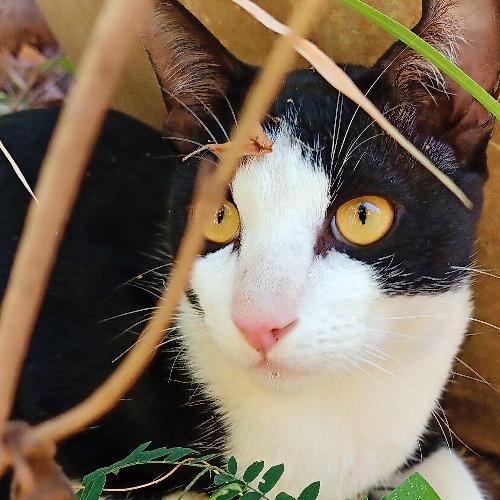 สมาชิกหมายเลข 6468010