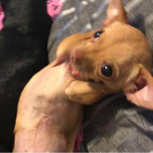 สมาชิกหมายเลข 6773649