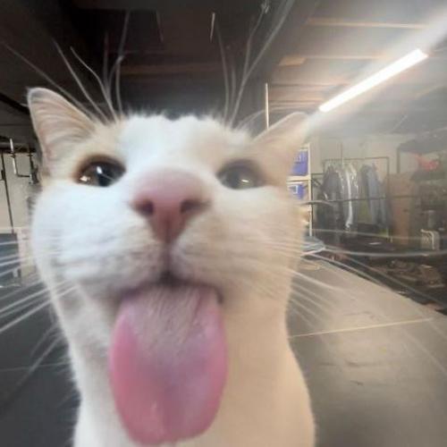 สมาชิกหมายเลข 7210961