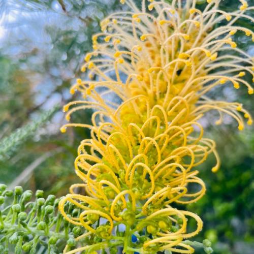 สมาชิกหมายเลข 3646424