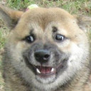 สมาชิกหมายเลข 4623418