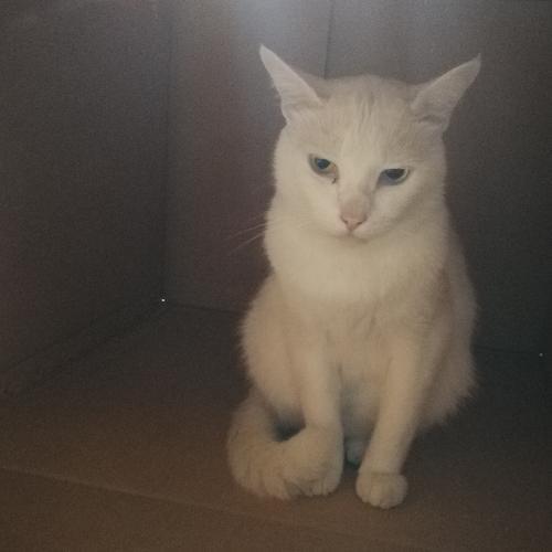 สมาชิกหมายเลข 4623464