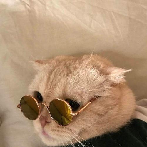 สมาชิกหมายเลข 4934756