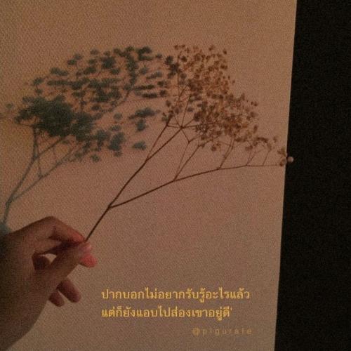 สมาชิกหมายเลข 5367995