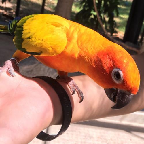 สมาชิกหมายเลข 5375086