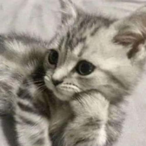 สมาชิกหมายเลข 5869293