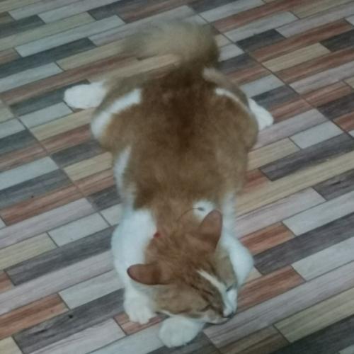 สมาชิกหมายเลข 5869730