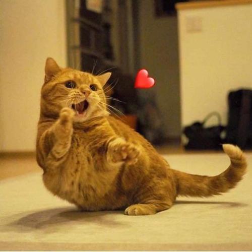 สมาชิกหมายเลข 5869864