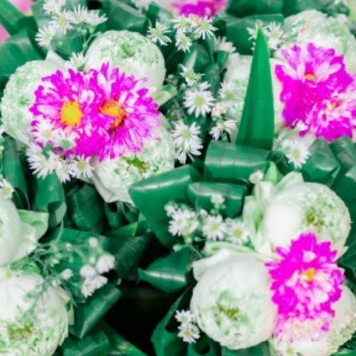 สมาชิกหมายเลข 7174140