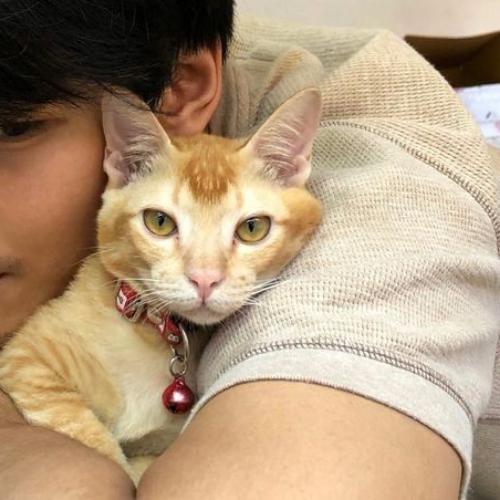 สมาชิกหมายเลข 8046699