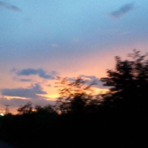 สมาชิกหมายเลข 8660663