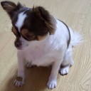 สมาชิกหมายเลข 2612452