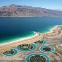 สมาชิกหมายเลข 2735321