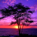 สมาชิกหมายเลข 3630190