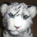 สมาชิกหมายเลข 3769814