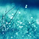 งามซึ้งใจงามถิ่นนี้