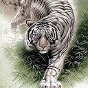 สมาชิกหมายเลข 3769993