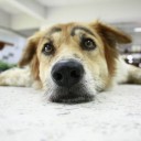 สมาชิกหมายเลข 3770073