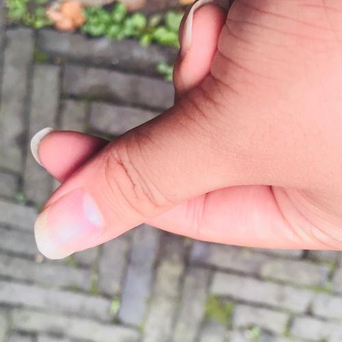 สมาชิกหมายเลข 4233951