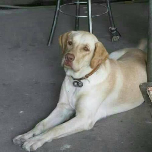 สมาชิกหมายเลข 4757729