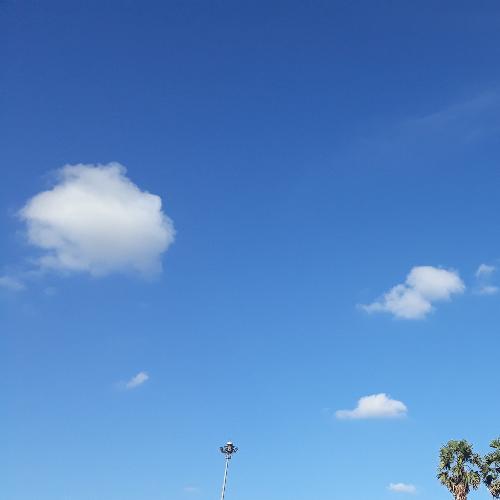 สมาชิกหมายเลข 4980609