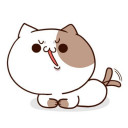 สมาชิกหมายเลข 4980783