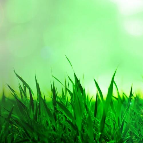 สมาชิกหมายเลข 4826602