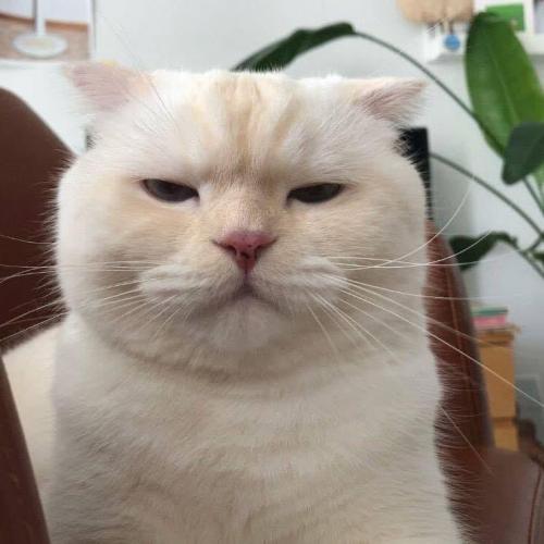 สมาชิกหมายเลข 5327479