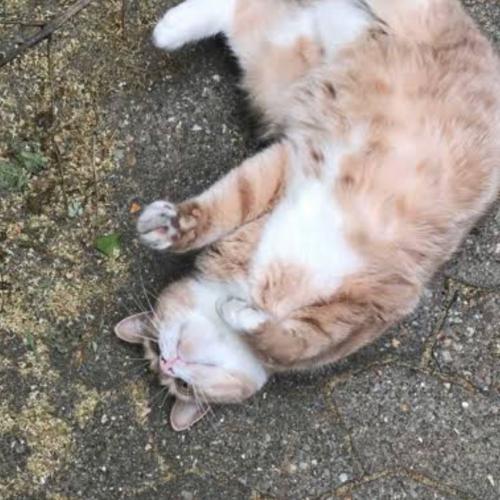 สมาชิกหมายเลข 5857022