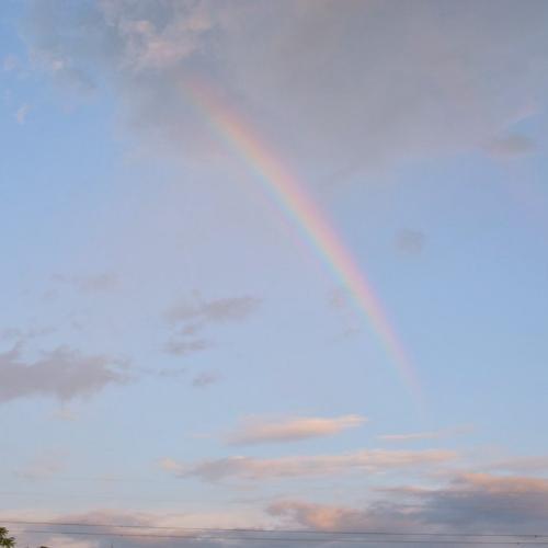 สมาชิกหมายเลข 6470468