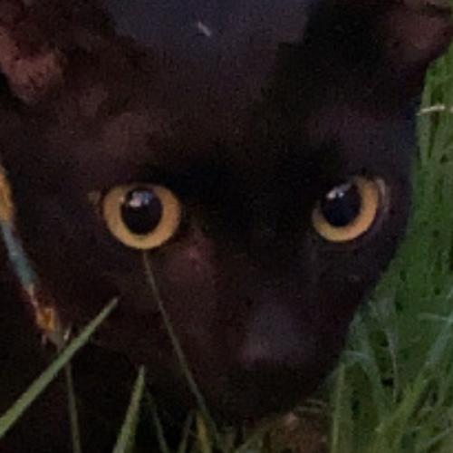 สมาชิกหมายเลข 6470708