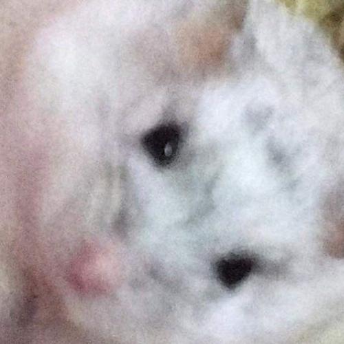 สมาชิกหมายเลข 6954560