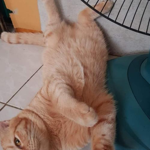 สมาชิกหมายเลข 7765441