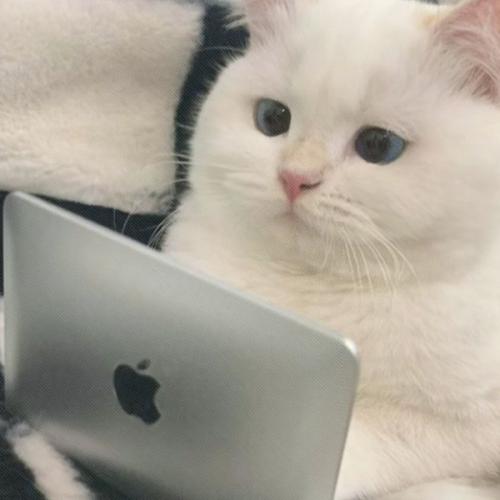 สมาชิกหมายเลข 8604588