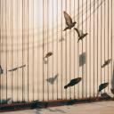 สมาชิกหมายเลข 1417444