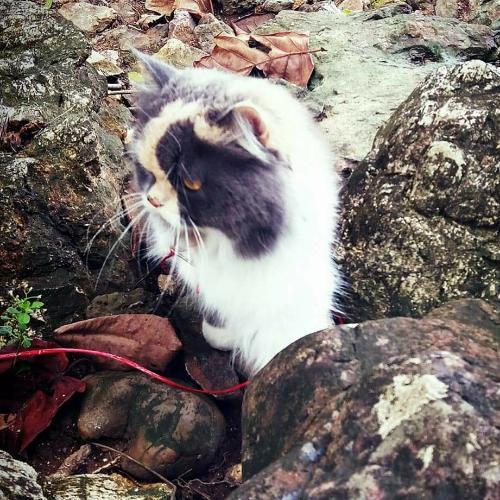 สมาชิกหมายเลข 3053029