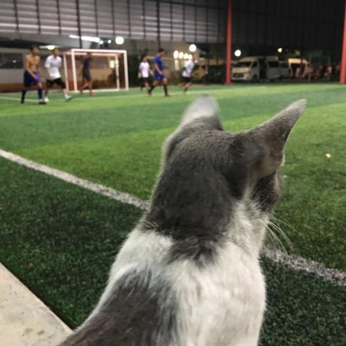 สมาชิกหมายเลข 3317756